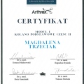 Powiększ obraz: certificate 7