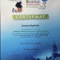 Powiększ obraz: certificate 11