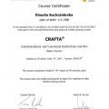 Powiększ obraz: certificate 4