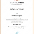 Powiększ obraz: certificate 6