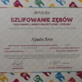 Powiększ obraz: certificate 1