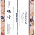 Powiększ obraz: certificate 3