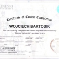 Powiększ obraz: certificate 4