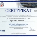 Powiększ obraz: certificate 1