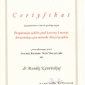 Powiększ obraz: certificate 22