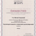 Powiększ obraz: certificate 1
