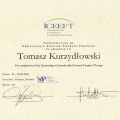 Powiększ obraz: certificate 9