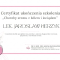 Powiększ obraz: certificate 1