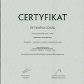 Powiększ obraz: certificate 7