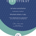 Powiększ obraz: certificate 4