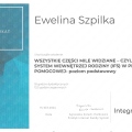 Powiększ obraz: certificate 1