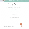 Powiększ obraz: certificate 20