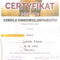 Powiększ obraz: certificate 2