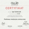 Powiększ obraz: certificate 3