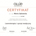 Powiększ obraz: certificate 3