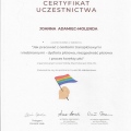 Powiększ obraz: certificate 7