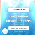 Powiększ obraz: certificate 14