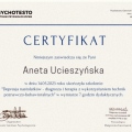 Powiększ obraz: certificate 6
