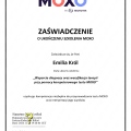 Powiększ obraz: certificate 2