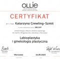 Powiększ obraz: certificate 1
