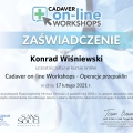Powiększ obraz: certificate 4