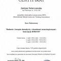 Powiększ obraz: certificate 10