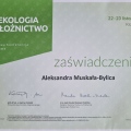 Powiększ obraz: certificate 28