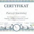 Powiększ obraz: certificate 5