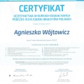 Powiększ obraz: certificate 8