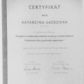 Powiększ obraz: certificate 9