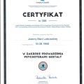 Powiększ obraz: certificate 2