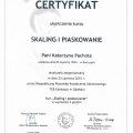Powiększ obraz: certificate 4