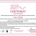 Powiększ obraz: certificate 3
