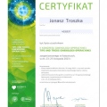 Powiększ obraz: certificate 1