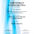 Powiększ obraz: certificate 8