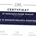 Powiększ obraz: certificate 2