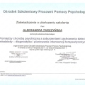 Powiększ obraz: certificate 25