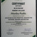 Powiększ obraz: certificate 4