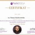 Powiększ obraz: certificate 13