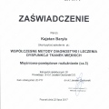 Powiększ obraz: certificate 10