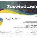 Powiększ obraz: certificate 10