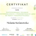 Powiększ obraz: certificate 2