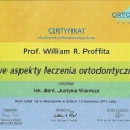 Powiększ obraz: certificate 11