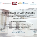 Powiększ obraz: certificate 1