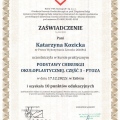 Powiększ obraz: certificate 6