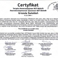 Powiększ obraz: certificate 2