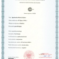 Powiększ obraz: certificate 2