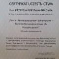 Powiększ obraz: certificate 8