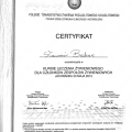 Powiększ obraz: certificate 8