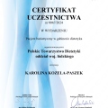 Powiększ obraz: certificate 47